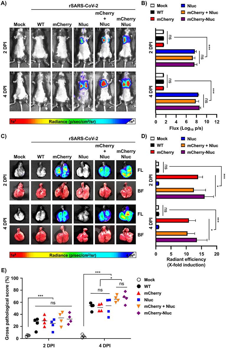 https://cdn.ncbi.nlm.nih.gov/pmc/blobs/2eef/9603146/7281b506bab9/spectrum.02379-22-f006.jpg