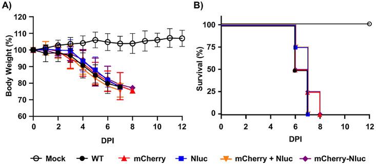 https://cdn.ncbi.nlm.nih.gov/pmc/blobs/2eef/9603146/fda2f6807c75/spectrum.02379-22-f004.jpg