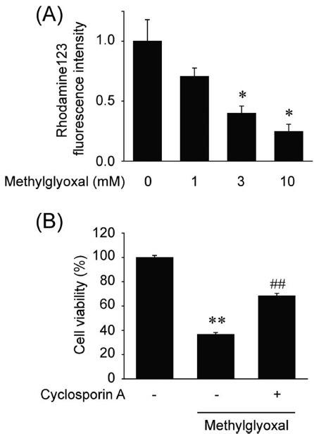 https://cdn.ncbi.nlm.nih.gov/pmc/blobs/2f0c/4206746/38d7ad532ee7/toxicr-30-193-g0003.jpg