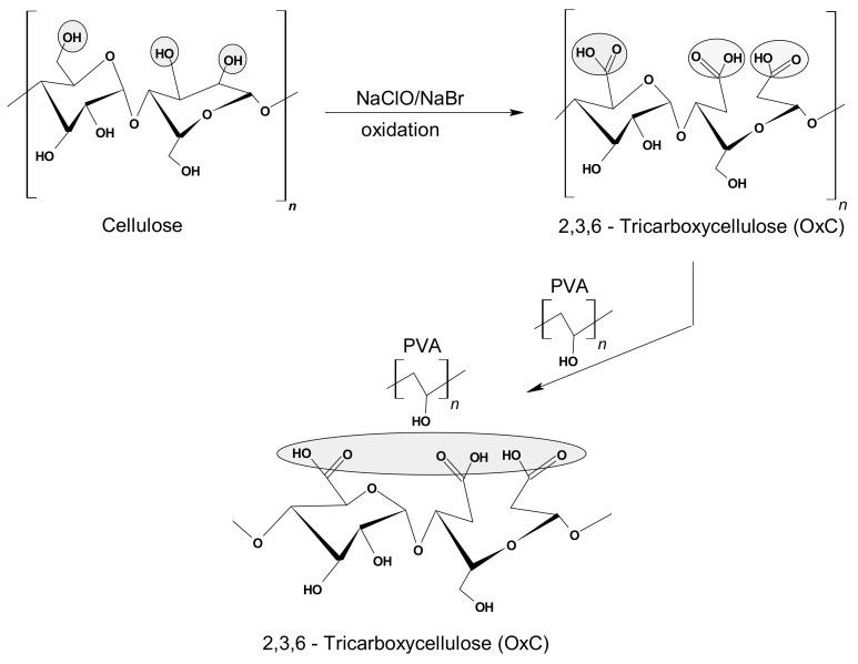 https://cdn.ncbi.nlm.nih.gov/pmc/blobs/2f1b/8125237/831687fed5e0/polymers-13-01444-g001.jpg