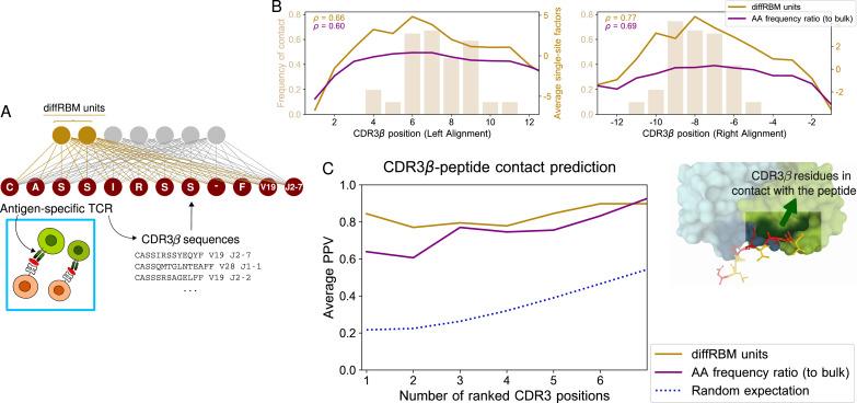 https://cdn.ncbi.nlm.nih.gov/pmc/blobs/2f1f/10522340/82a26ed01ccd/elife-85126-fig5.jpg