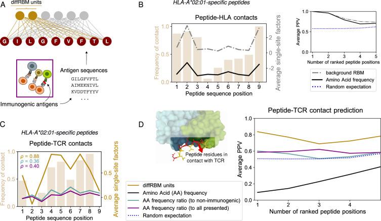 https://cdn.ncbi.nlm.nih.gov/pmc/blobs/2f1f/10522340/a9d7ba6f3110/elife-85126-fig2.jpg