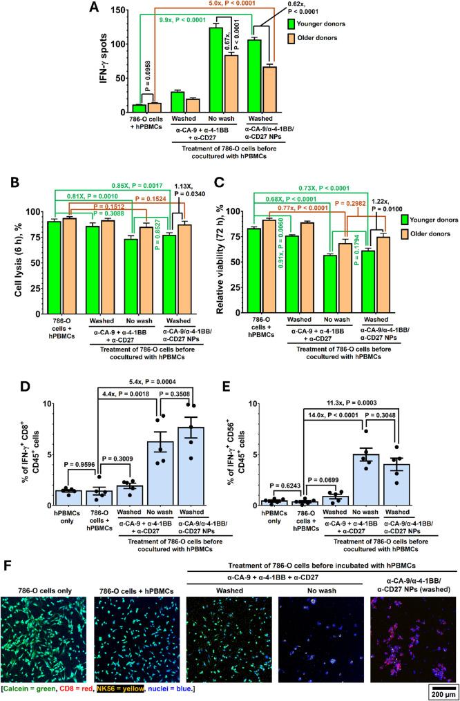https://cdn.ncbi.nlm.nih.gov/pmc/blobs/2f48/12175395/f4d486986981/12943_2025_2382_Fig4_HTML.jpg