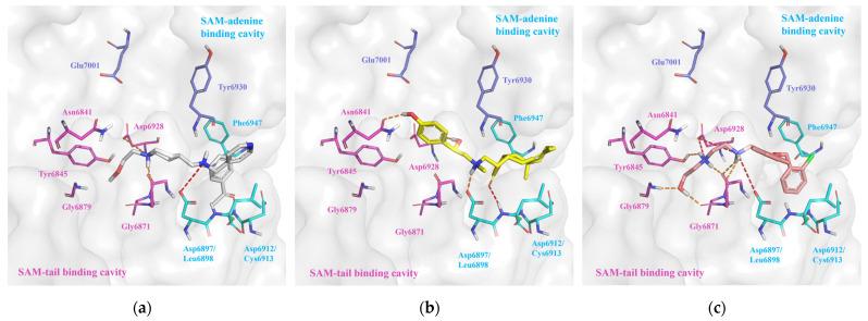 https://cdn.ncbi.nlm.nih.gov/pmc/blobs/2f4d/11124212/40b382a32148/molecules-29-02312-g007.jpg
