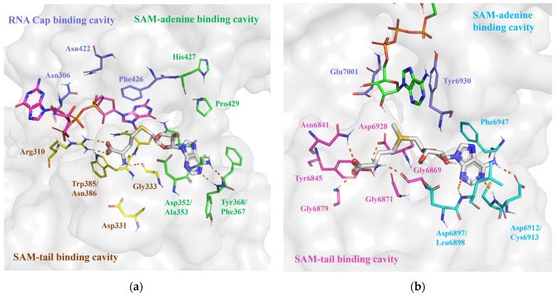 https://cdn.ncbi.nlm.nih.gov/pmc/blobs/2f4d/11124212/aa81a9a9b86a/molecules-29-02312-g003.jpg