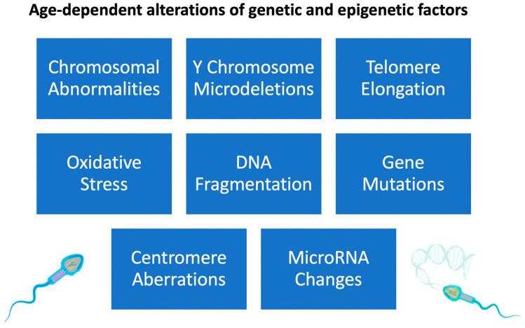 https://cdn.ncbi.nlm.nih.gov/pmc/blobs/2f64/9957550/2b321023a313/genes-14-00486-g002.jpg