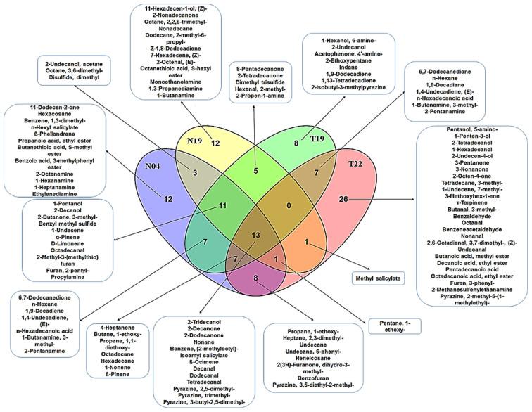 https://cdn.ncbi.nlm.nih.gov/pmc/blobs/2f95/9414699/457e171e1044/metabolites-12-00763-g004.jpg