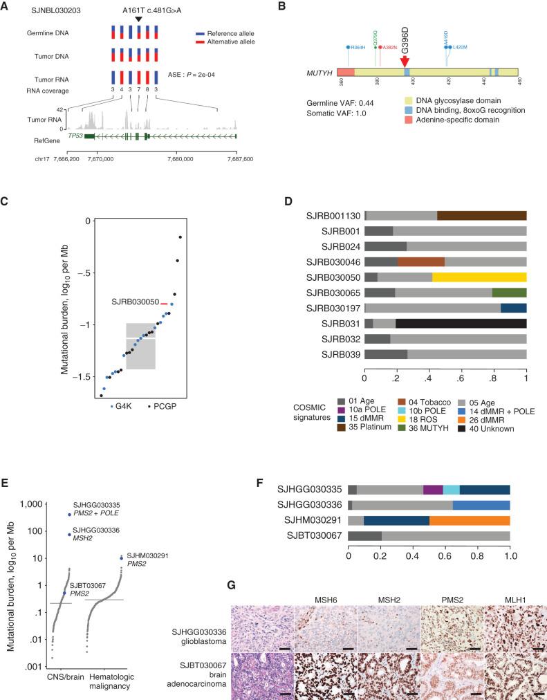 https://cdn.ncbi.nlm.nih.gov/pmc/blobs/2faf/9414289/4fa134ab386c/3008fig6.jpg