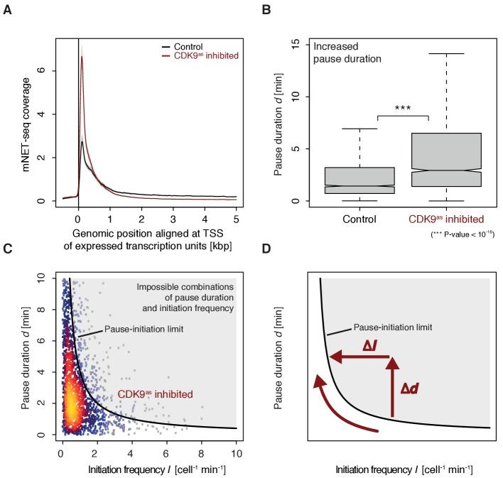 https://cdn.ncbi.nlm.nih.gov/pmc/blobs/2fb6/5669633/4788d8175df4/elife-29736-fig6.jpg