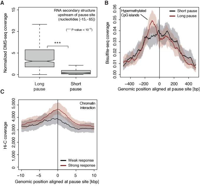 https://cdn.ncbi.nlm.nih.gov/pmc/blobs/2fb6/5669633/a479ceeb2c38/elife-29736-fig7.jpg