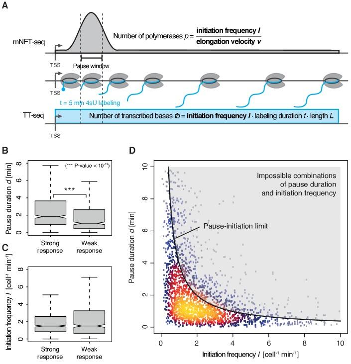 https://cdn.ncbi.nlm.nih.gov/pmc/blobs/2fb6/5669633/b4834f162962/elife-29736-fig4.jpg