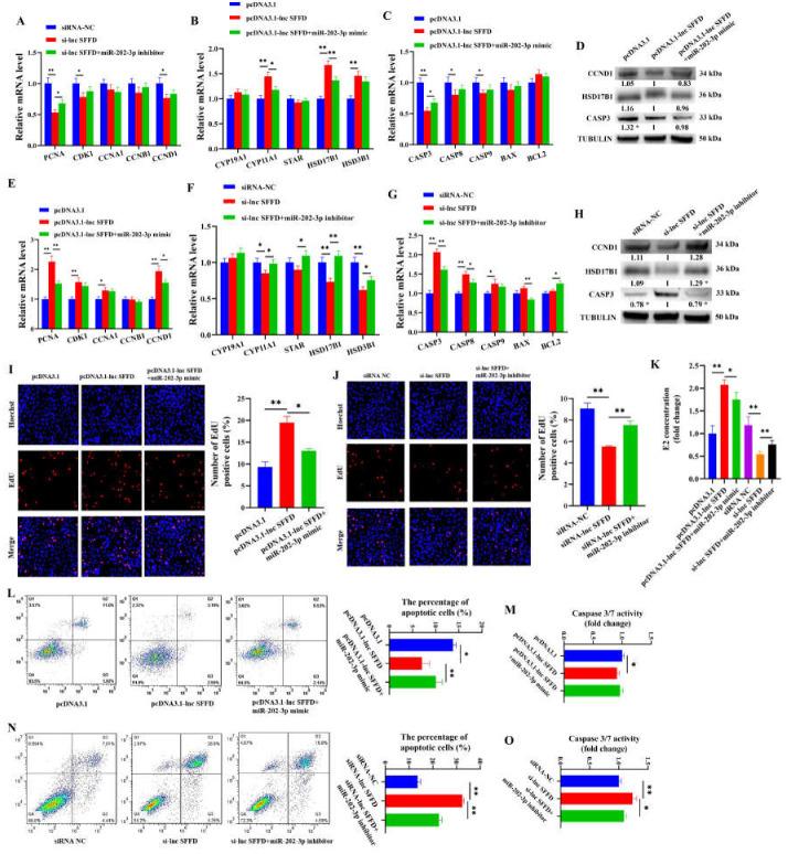 https://cdn.ncbi.nlm.nih.gov/pmc/blobs/2fc9/10706290/bcdd5511c0df/cells-12-02734-g004.jpg