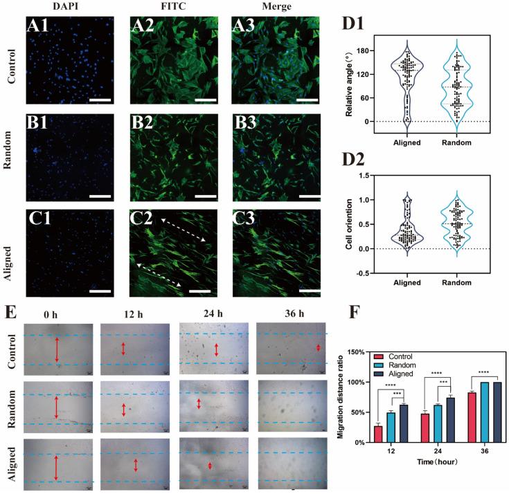 https://cdn.ncbi.nlm.nih.gov/pmc/blobs/2fd8/11351159/7445beffaa3c/bioengineering-11-00772-g005.jpg