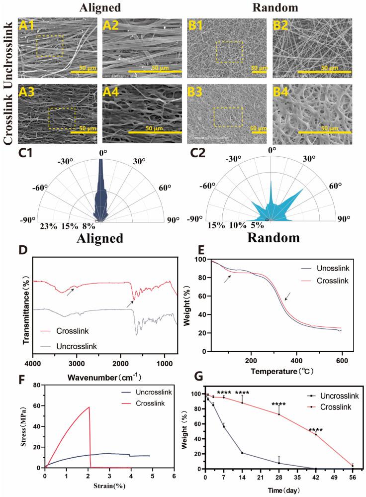 https://cdn.ncbi.nlm.nih.gov/pmc/blobs/2fd8/11351159/e7944da182a4/bioengineering-11-00772-g003.jpg