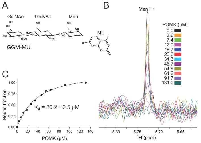 https://cdn.ncbi.nlm.nih.gov/pmc/blobs/2ffa/5142810/90e10ae697d0/elife-22238-fig5.jpg