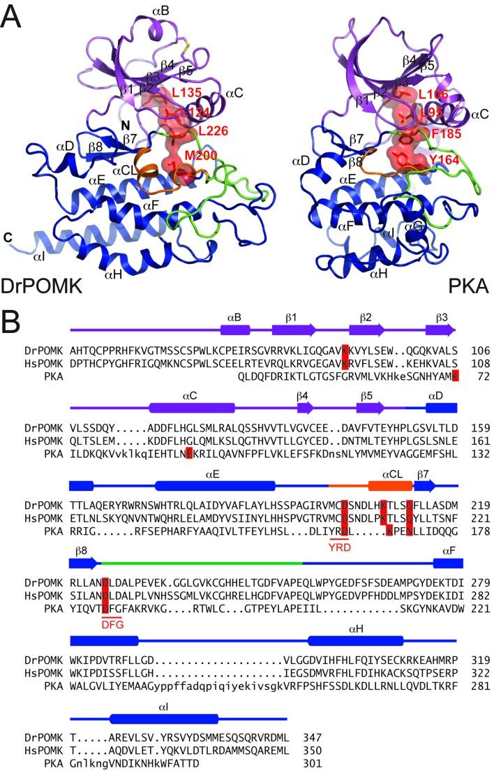 https://cdn.ncbi.nlm.nih.gov/pmc/blobs/2ffa/5142810/c00d9ed47788/elife-22238-fig2.jpg