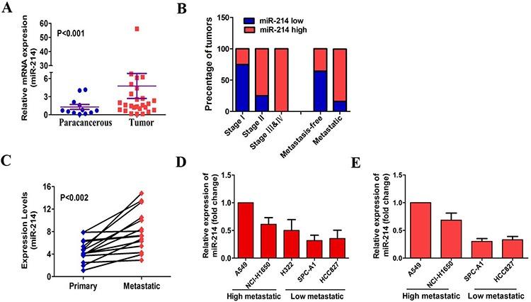 https://cdn.ncbi.nlm.nih.gov/pmc/blobs/3001/4770731/e02e9613acfc/oncotarget-06-38705-g001.jpg