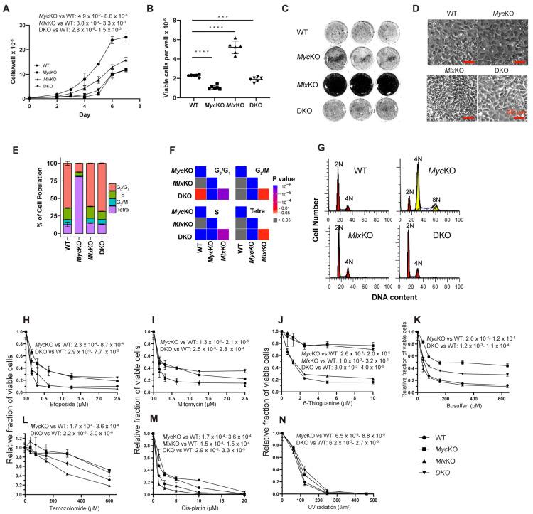 https://cdn.ncbi.nlm.nih.gov/pmc/blobs/300c/9777503/89021adadda3/cells-11-04087-g007.jpg