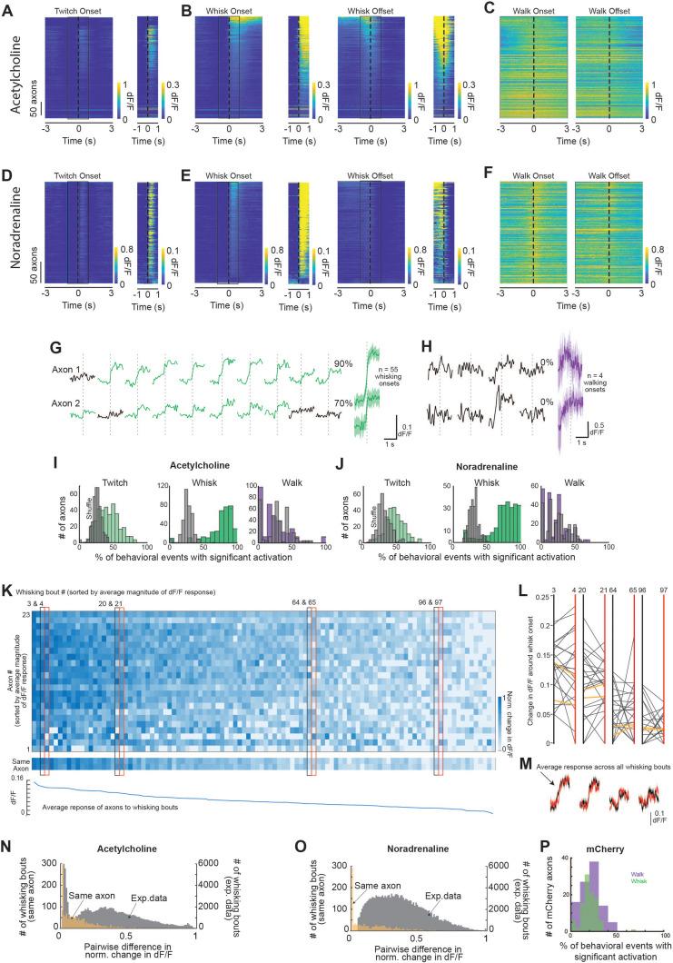 https://cdn.ncbi.nlm.nih.gov/pmc/blobs/3012/10238096/3c28a448bd62/elife-81826-fig2-figsupp1.jpg