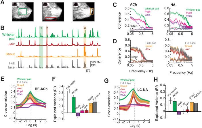 https://cdn.ncbi.nlm.nih.gov/pmc/blobs/3012/10238096/ae8ddc081a56/elife-81826-fig3.jpg
