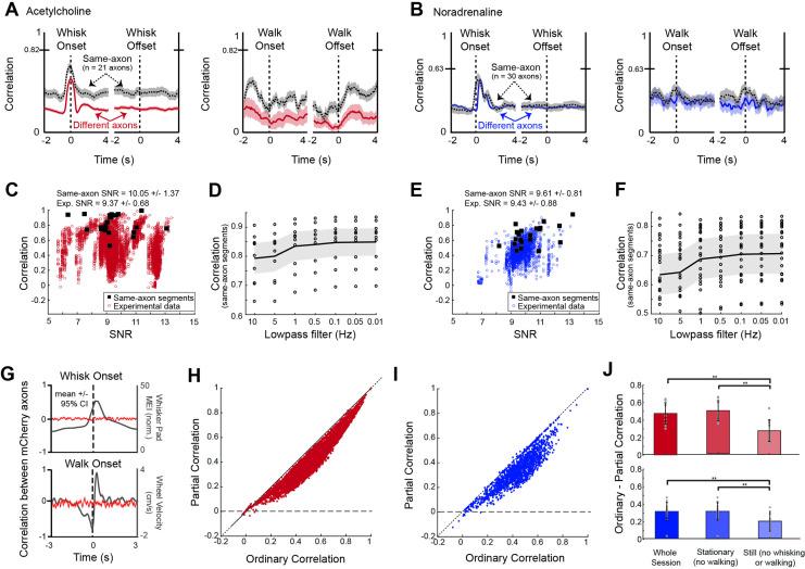 https://cdn.ncbi.nlm.nih.gov/pmc/blobs/3012/10238096/af1bb1939f9e/elife-81826-fig4-figsupp1.jpg