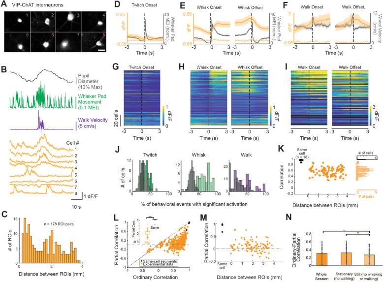 https://cdn.ncbi.nlm.nih.gov/pmc/blobs/3012/10238096/e5c7f3af09e9/elife-81826-fig5.jpg
