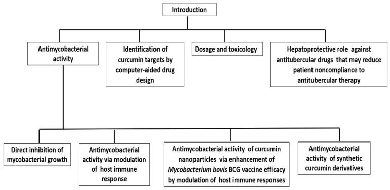 https://cdn.ncbi.nlm.nih.gov/pmc/blobs/303e/8470464/892a953f56ae/biomolecules-11-01278-g001.jpg