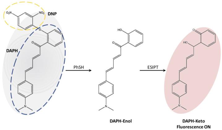 https://cdn.ncbi.nlm.nih.gov/pmc/blobs/303f/10574459/22b9912db108/molecules-28-06921-sch001.jpg
