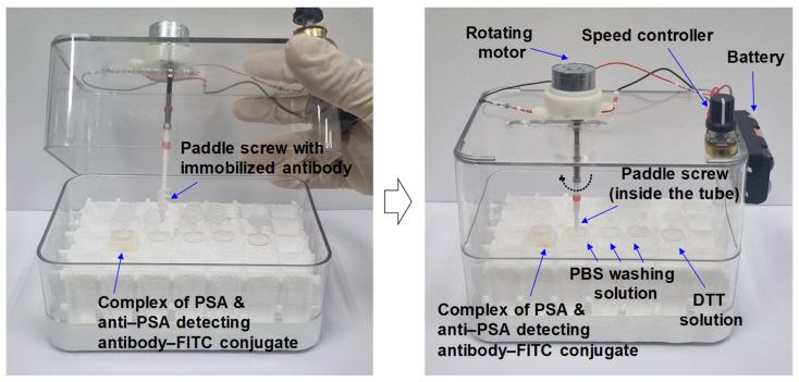 https://cdn.ncbi.nlm.nih.gov/pmc/blobs/3044/11506760/31c7228a89fa/biosensors-14-00494-g003.jpg