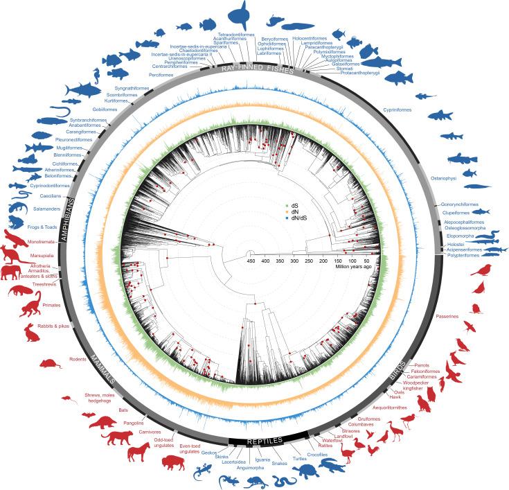 https://cdn.ncbi.nlm.nih.gov/pmc/blobs/3097/12088427/5d6f9df3b33b/pnas.2423386122fig01.jpg