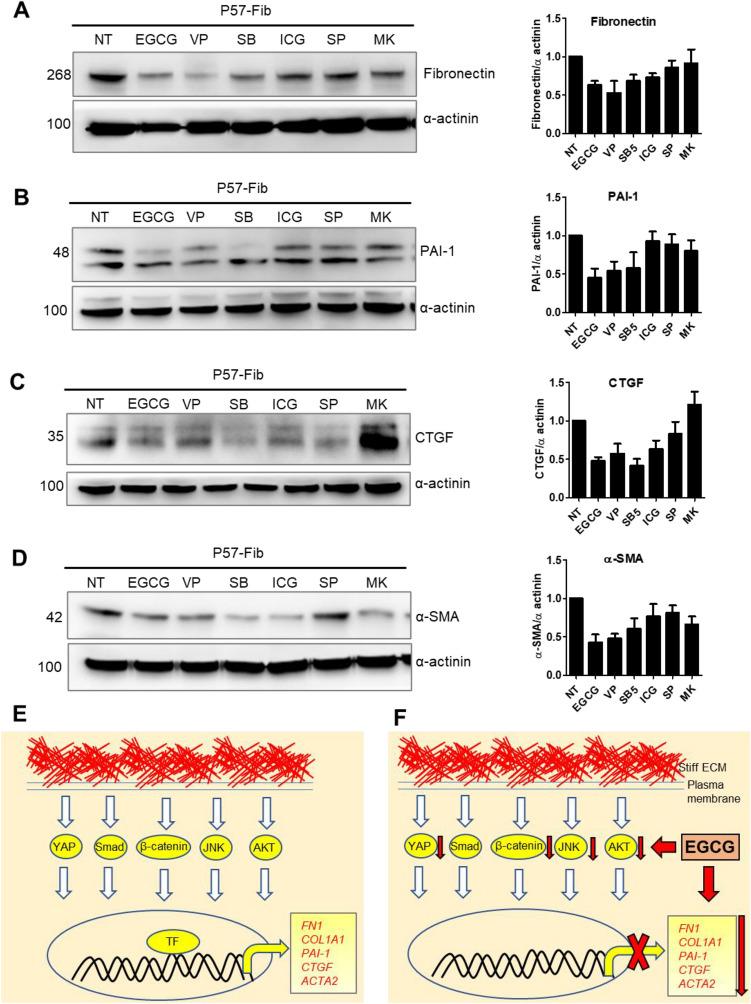 https://cdn.ncbi.nlm.nih.gov/pmc/blobs/30ba/10212992/fb8c81c92bb9/41598_2023_35212_Fig6_HTML.jpg