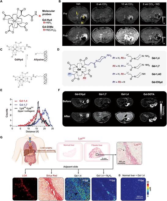 https://cdn.ncbi.nlm.nih.gov/pmc/blobs/30bd/11214848/11ec95252502/bmr.0042.fig.005.jpg