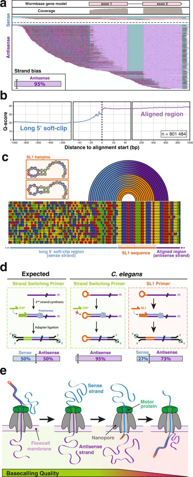 https://cdn.ncbi.nlm.nih.gov/pmc/blobs/30c0/9984361/2add70ead9cf/41467_2023_36915_Fig1_HTML.jpg