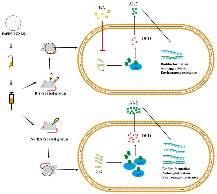 https://cdn.ncbi.nlm.nih.gov/pmc/blobs/30ca/11047829/6fc8f519b3b2/biomolecules-14-00452-g009.jpg