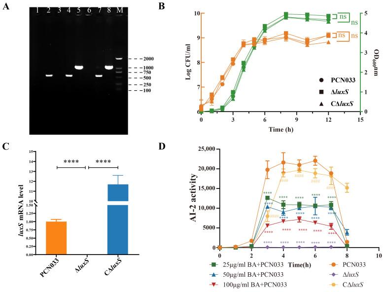 https://cdn.ncbi.nlm.nih.gov/pmc/blobs/30ca/11047829/b5797b45761f/biomolecules-14-00452-g004.jpg