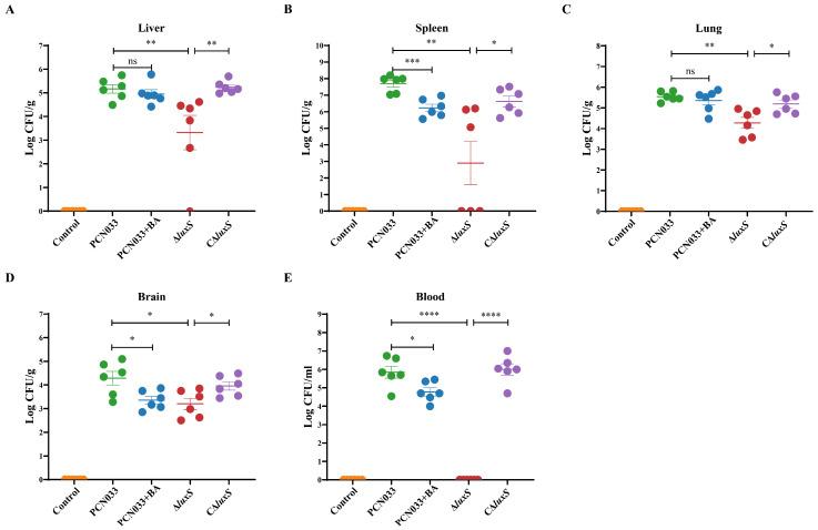 https://cdn.ncbi.nlm.nih.gov/pmc/blobs/30ca/11047829/db36c4f8ab1d/biomolecules-14-00452-g006.jpg