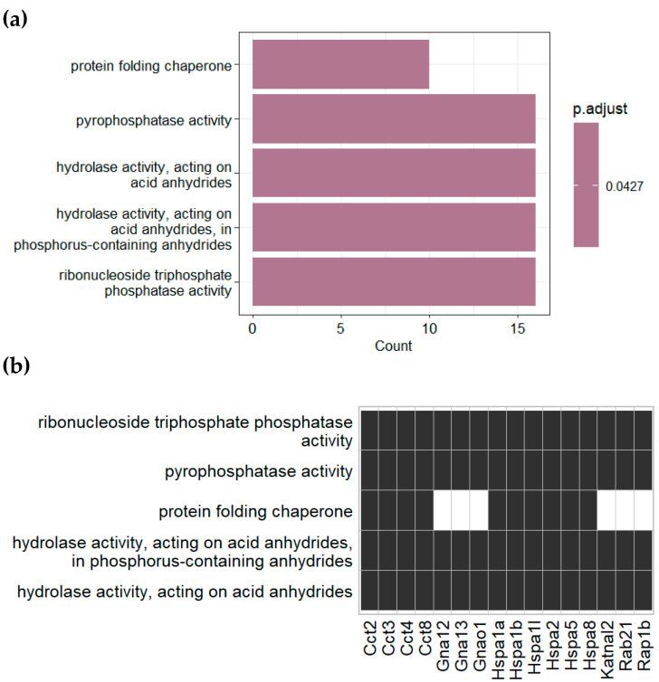 https://cdn.ncbi.nlm.nih.gov/pmc/blobs/30ce/10935251/300eefc8ad76/nutrients-16-00736-g003.jpg