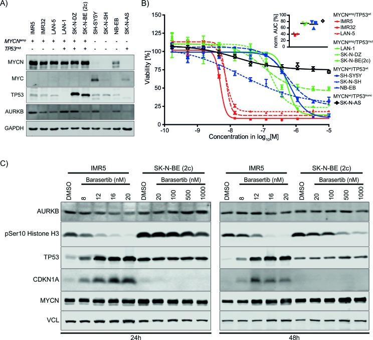 https://cdn.ncbi.nlm.nih.gov/pmc/blobs/30ce/4742102/80bf8857744a/oncotarget-06-35247-g004.jpg