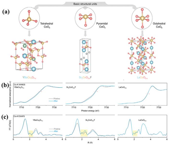 https://cdn.ncbi.nlm.nih.gov/pmc/blobs/30cf/12348201/7d697aa51429/molecules-30-03238-g014.jpg