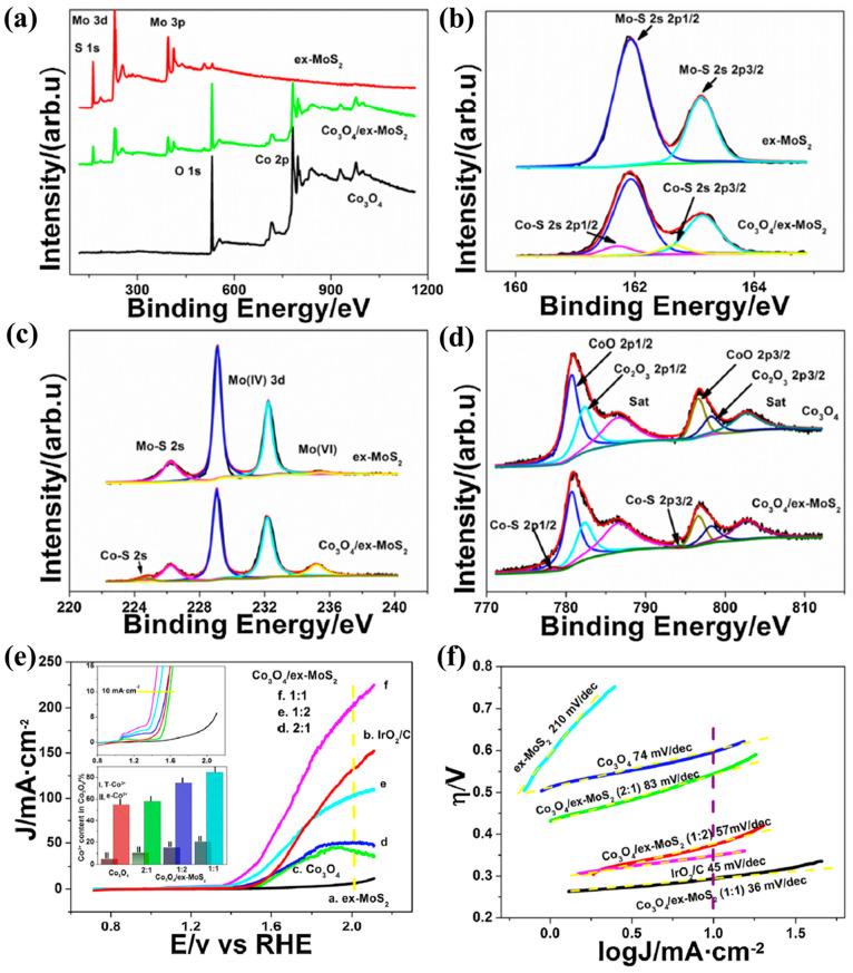 https://cdn.ncbi.nlm.nih.gov/pmc/blobs/30cf/12348201/96fb25ded025/molecules-30-03238-g006.jpg