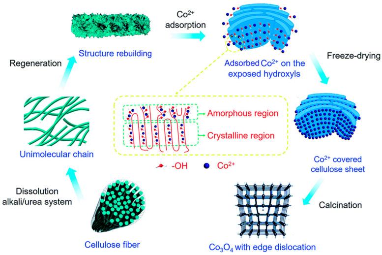 https://cdn.ncbi.nlm.nih.gov/pmc/blobs/30cf/12348201/e1c1ae5f51e9/molecules-30-03238-g008.jpg