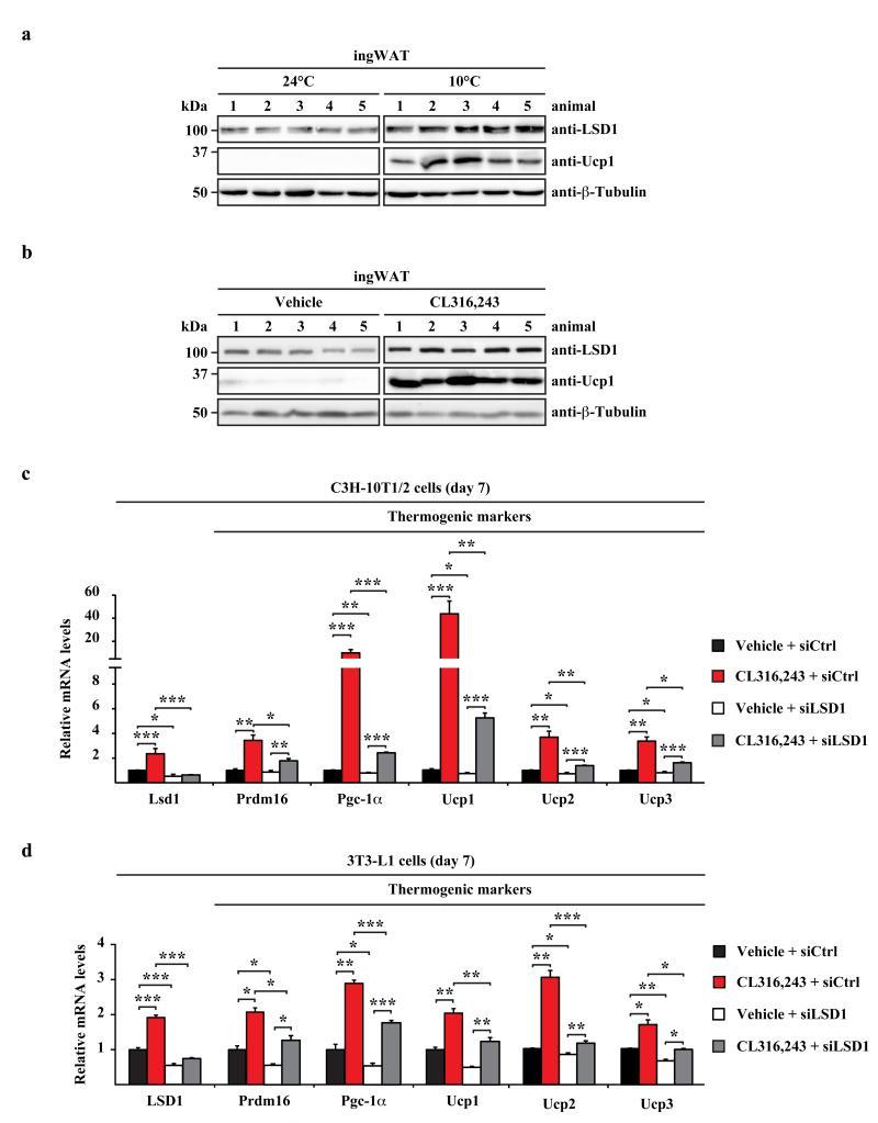 https://cdn.ncbi.nlm.nih.gov/pmc/blobs/30d1/4112219/9d1683c25b82/emss-58534-f0001.jpg
