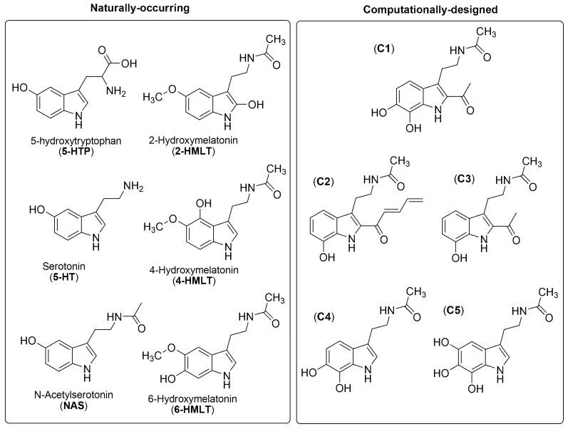 https://cdn.ncbi.nlm.nih.gov/pmc/blobs/30d8/6274579/3795ae95ce1a/molecules-21-01442-g002.jpg