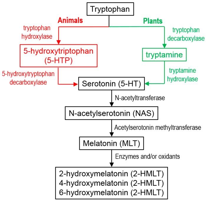 https://cdn.ncbi.nlm.nih.gov/pmc/blobs/30d8/6274579/3f9bcad123a0/molecules-21-01442-g003.jpg