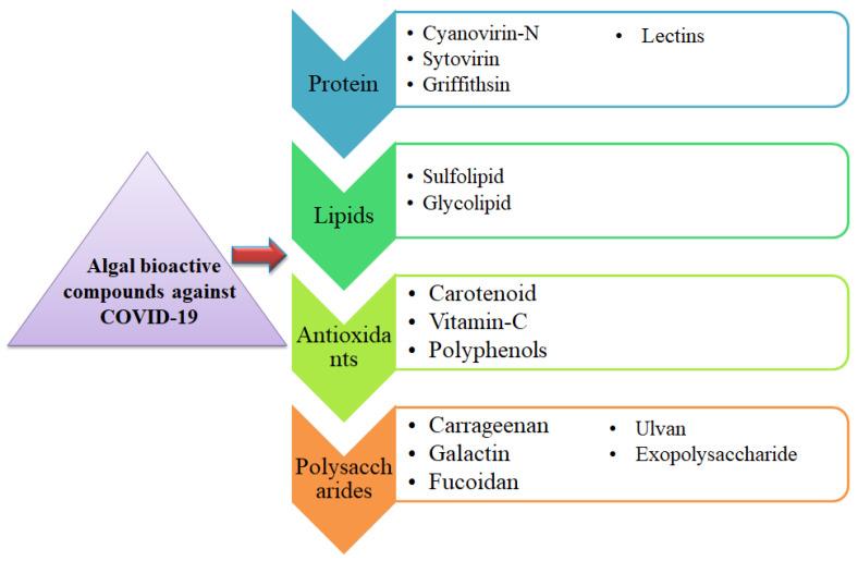 https://cdn.ncbi.nlm.nih.gov/pmc/blobs/30f8/8944855/f39bc05bac89/antioxidants-11-00452-g001.jpg