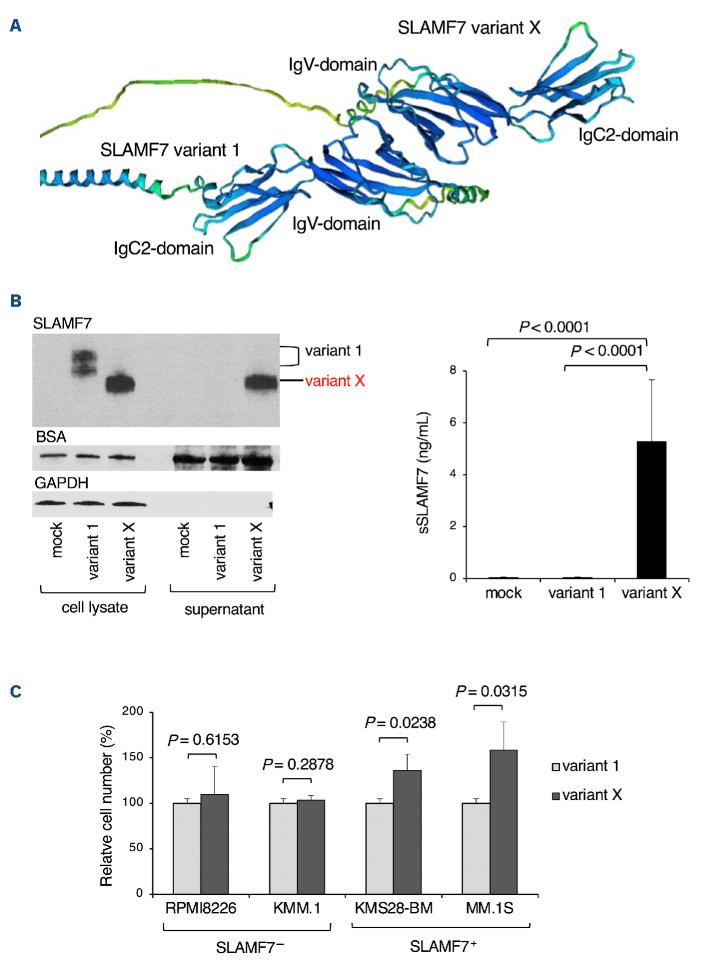 https://cdn.ncbi.nlm.nih.gov/pmc/blobs/30fc/11443410/d4af5684d12a/1093414.fig3.jpg