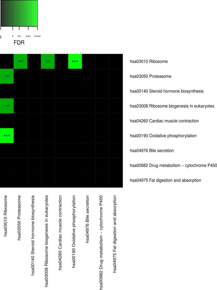 https://cdn.ncbi.nlm.nih.gov/pmc/blobs/30ff/8012063/615908d34afb/elife-57843-fig4-figsupp3.jpg