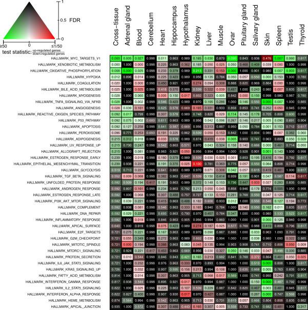 https://cdn.ncbi.nlm.nih.gov/pmc/blobs/30ff/8012063/9caa1d8f1e45/elife-57843-fig4-figsupp2.jpg
