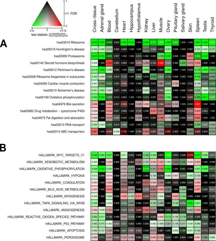 https://cdn.ncbi.nlm.nih.gov/pmc/blobs/30ff/8012063/c428edb655b1/elife-57843-fig4.jpg