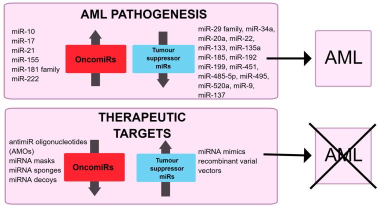 https://cdn.ncbi.nlm.nih.gov/pmc/blobs/3116/12026923/0da17a17bfc9/genes-16-00446-g002.jpg